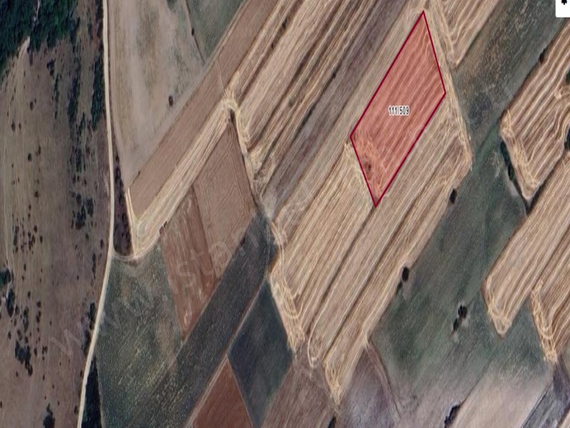 Edirne Merkez Orhaniye Köyünde Satılık Tarla , 3,783 M2 Tek Tapu
