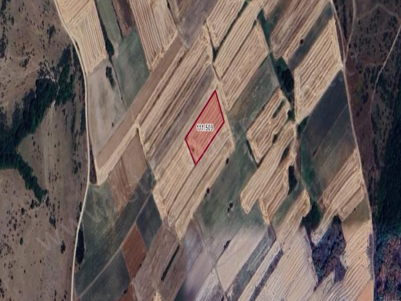 Edirne Merkez Orhaniye Köyünde Satılık Tarla , 3,783 M2 Tek Tapu