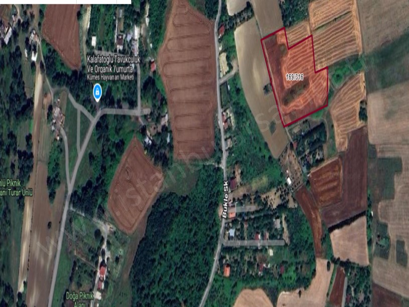 Arnavutköy Tayakadın Satılık Arsa , 233 M2 Çevrili Çaplı Hisseli