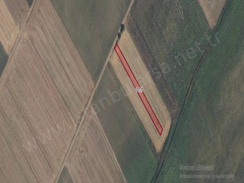 Tekirdağ Saray Osmanlı Köyünde  Satılık Tarla , 1,188 m2 Yolu Var Müstakil