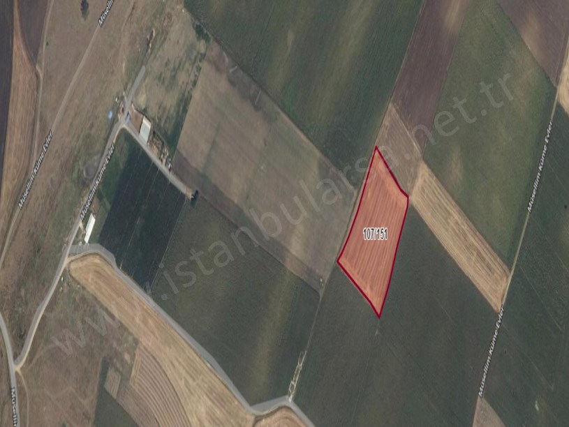 Kırklareli Vize  Müsellim Köyünde Satılık Tarla , 2,533 m2  Hisseli 