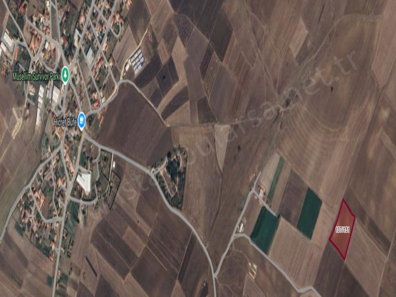 Kırklareli Vize  Müsellim Köyünde Satılık Tarla , 2,533 m2  Hisseli 