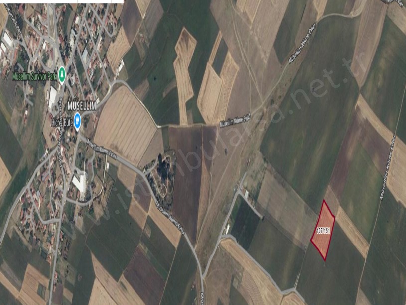 Kırklareli Vize  Müsellim Köyünde Satılık Tarla , 2,533 m2  Hisseli 