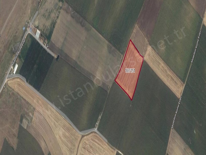 Kırklareli Vize  Müsellim Köyünde Satılık Tarla , 2,533 m2  Hisseli 