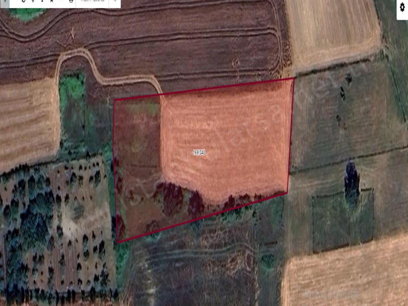 Arnavutköy Tayakadın Satılık Arsa ,780 m2  Yolu Var Evlerin Yakını Hisseli