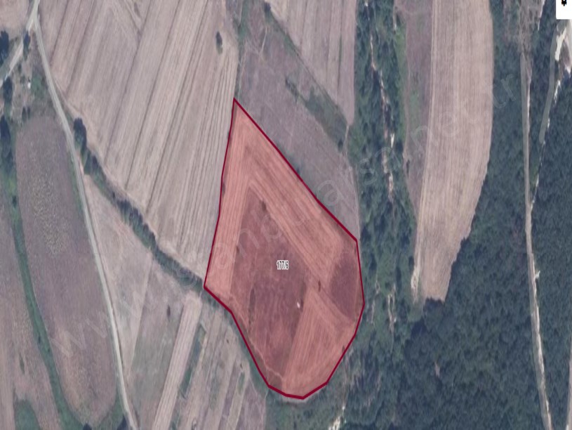 Çatalca İhsaniye Mah Satılık Arsa , 705 m2 Hisseli Yolu Var Evlerin Yakını