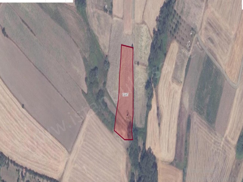 Çatalca Elbasanda Satılık Tarla , 3,964 m2 Müstakil Köy İçi 