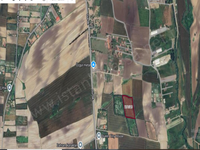 Çatalca Kestanelikte Satılık Tarla , 11,766 m2 Evlerin Yakını Müstakil 