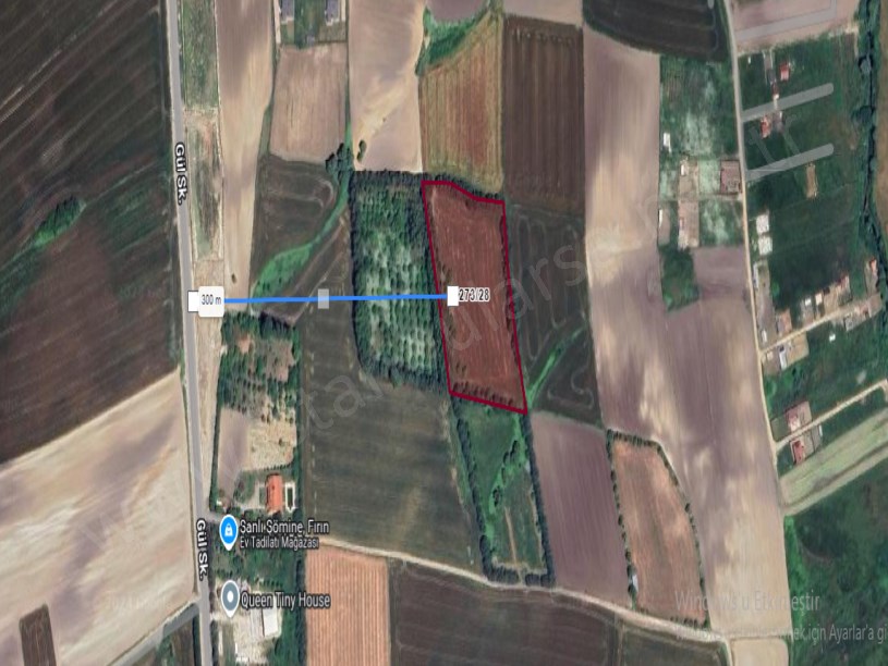 Çatalca Kestanelikte Satılık Tarla , 11,766 m2 Evlerin Yakını Müstakil 