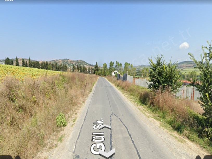 Çatalca Kestanelikte Satılık Tarla , 11,766 m2 Evlerin Yakını Müstakil 