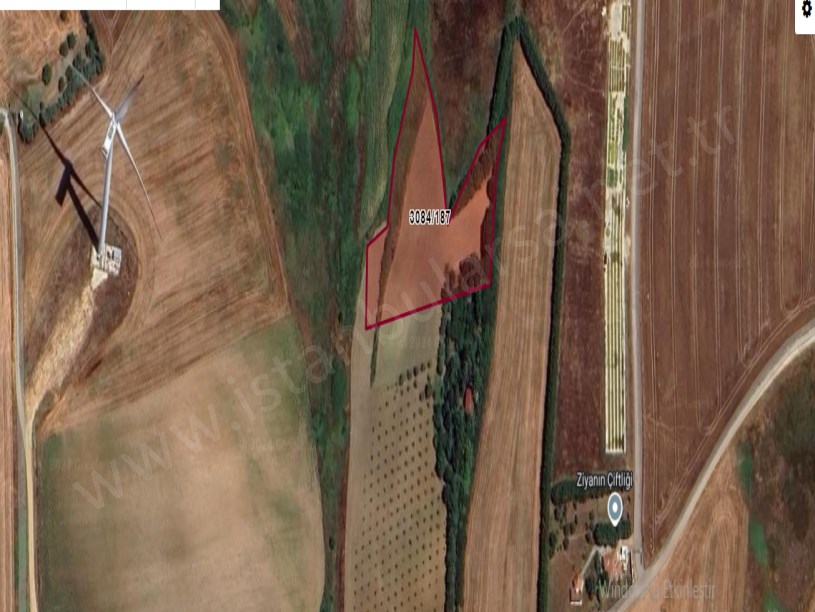 Silivri Kurfallıda  Satılık Tarla , 4,861 M2 Müstakil Yolu Var