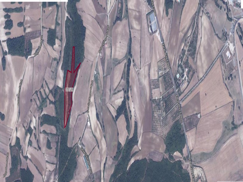 Çatalca Dağyenicede Satılık  Arsa , 587 M2 Hisseli Yolu Var Evlerin Yakını 