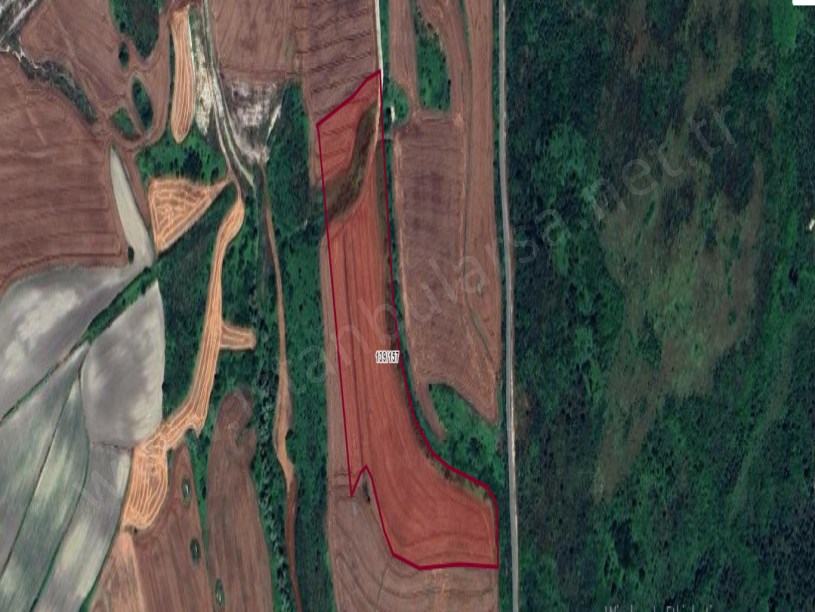 Çatalca Nakkaşta  Satılık Arsa ,  315 M2 Yolu Var Hisseli 