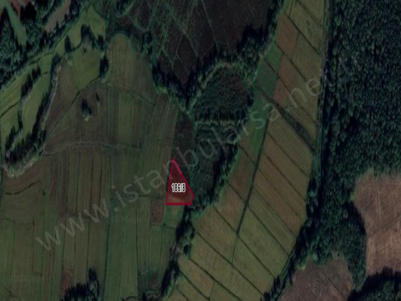 Çatalca Çiftlikköyde Satılık Arsa , 306 m2 Hisseli Doğa İçinde 