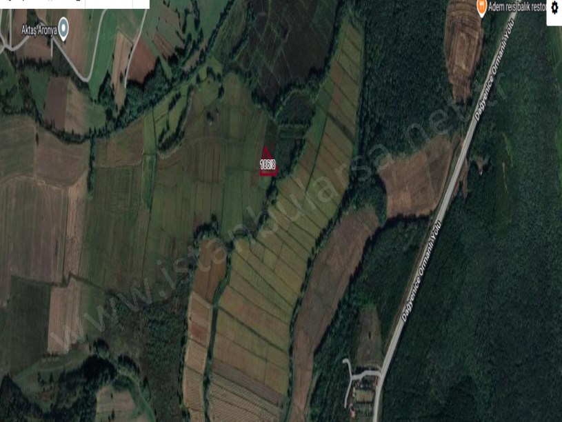 Çatalca Çiftlikköyde Satılık Arsa , 306 m2 Hisseli Doğa İçinde 