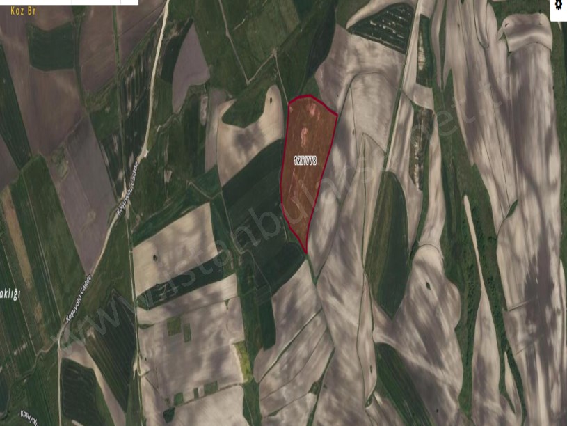 Çatalca Nakkaşta  Satılık Arsa ,  250 M2 Çaplı Hisseli 
