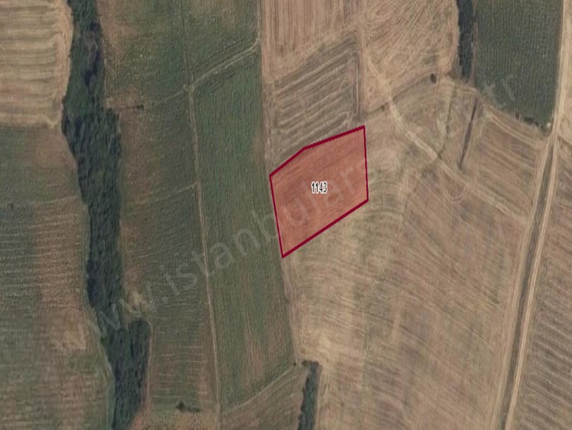 Kırklareli Pehlivanköy Akarca Köyü Satılık Tarla  , 2,750 m2 Tek Tapu 