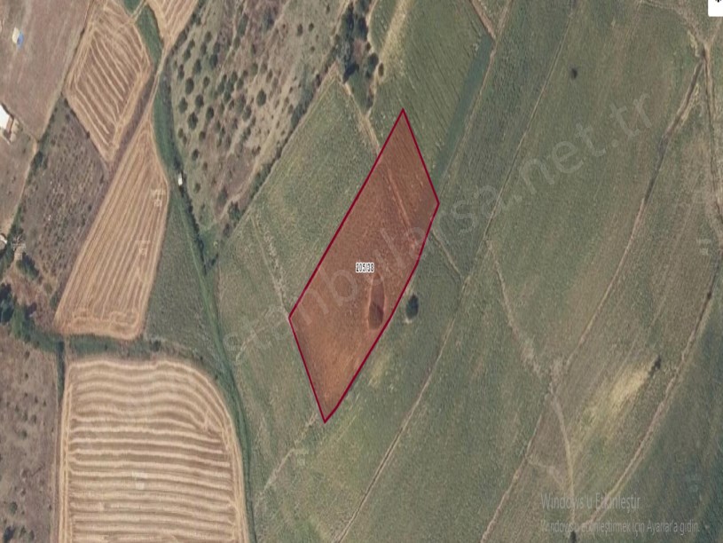 Çanakkale Gelibolu Ocaklı Köyü Satılık Arsa, 593 m2 Evlerin Yakını Hisseli