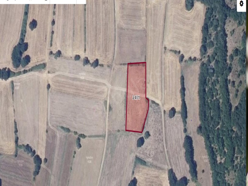 Çanakkale Biga Kozçeşme Köyü Satılık Tarla . 2,750 m2 Müstakil Yolu Var