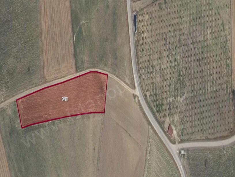 Kırklareli Babaeski Oruçlu Köyünde Satılık Arsa , 1,600 m2 Hisseli Evlerin Yakını
