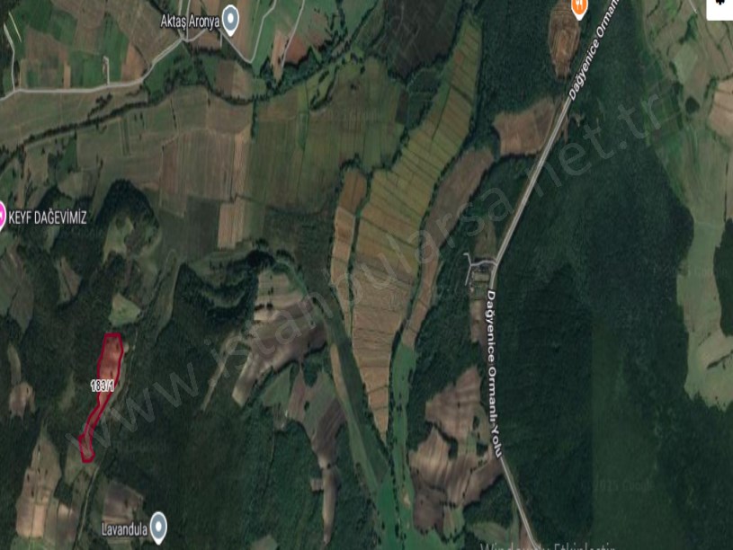 Çatalca Çiftlikköyde Satılık Arsa , 4,500 M2 Çaplı Yolu var Hİsseli