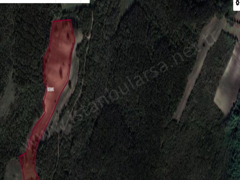Çatalca Çiftlikköyde Satılık Arsa , 4,500 M2 Çaplı Yolu var Hİsseli