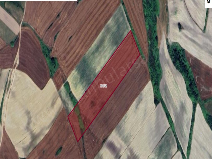 Çatalca Nakkaşta  Satılık Arsa , 1,992 M2 Hisseli 
