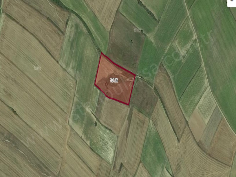 Tekirdağ Saray Kurtderede Satılık Tarla , 8,760  M2 Müstakil Yolu Var
