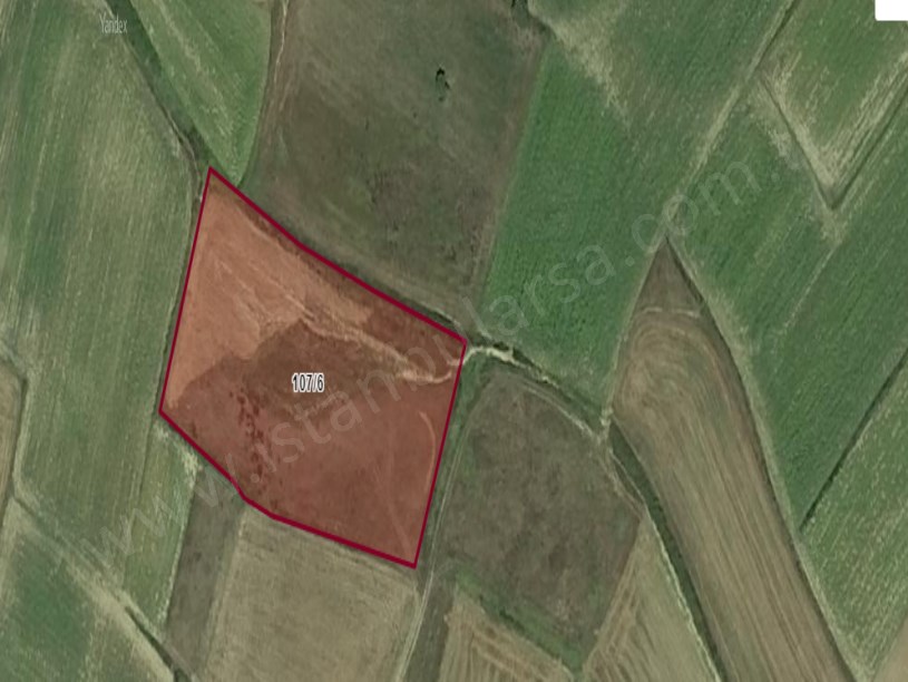 Tekirdağ Saray Kurtderede Satılık Tarla , 8,760  M2 Müstakil Yolu Var