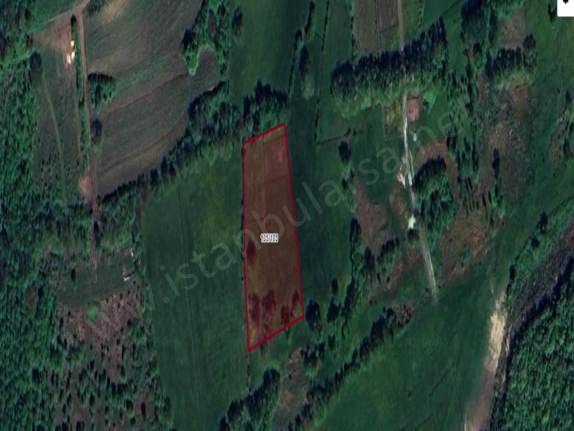 Arnavutköy Balabanda Satılık Arsa , 119 M2 Hisseli