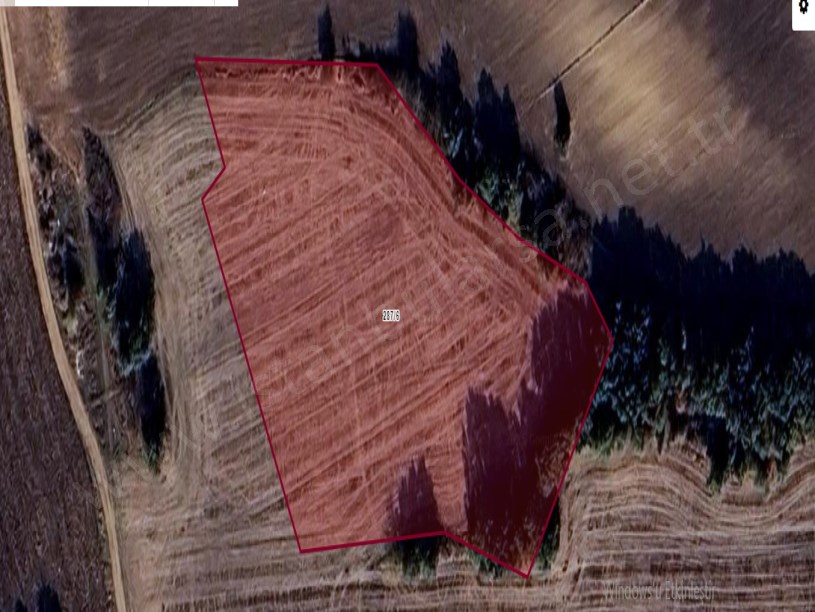Edirne Süloğlu Şafak Mah Satılık Arsa , 1,938 m2 Hisseli Meraya Cephe