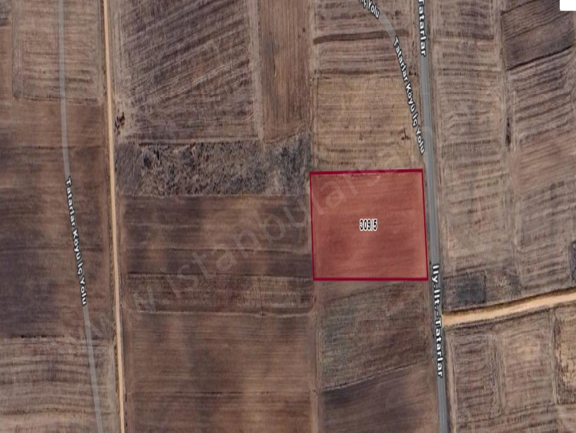 Edirne Süloğlu Tatarlar Köyünde Satılık Tarla , 5,683 m2 Cadde Cephe Müstakil