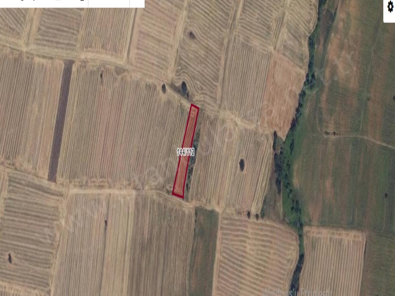 Kırklareli Pınarhisar Sütlüce Satılık Tarla , 2,188 M2 Müstakil Yolu Var