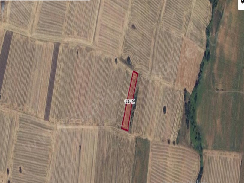 Kırklareli Pınarhisar Sütlüce Satılık Tarla , 2,188 M2 Müstakil Yolu Var