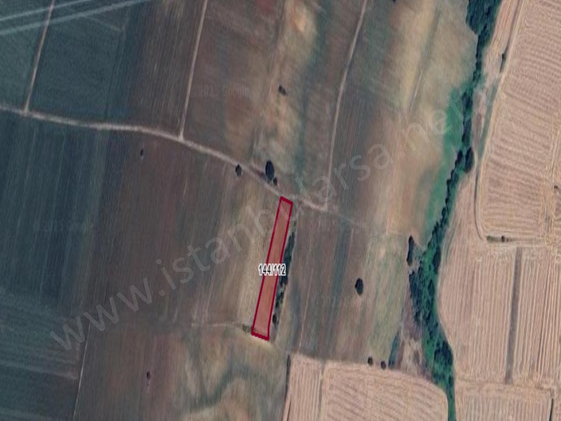 Kırklareli Pınarhisar Sütlüce Satılık Tarla , 2,188 M2 Müstakil Yolu Var