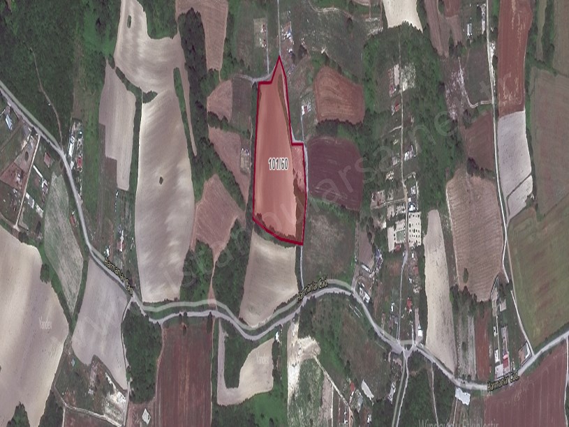 Arnavutköy Balabanda Satılık Arsa , 1,546 M2 Yolu Var Evlerin Yakını
