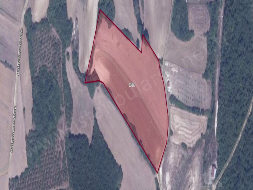 Çatalca Dağyenicede Satılık  Arsa , 1,600 m2 Çevrili Yolu Var Hisseli