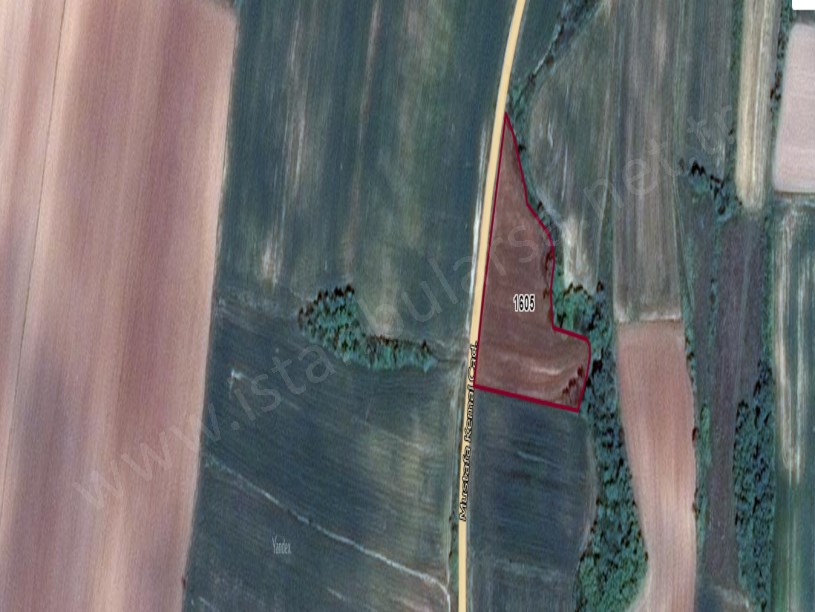 Kırklareli Babaeski Hazinedar Köyünde Satılık Tarla , 3,800 m2 Cadde Cephe Müstakil