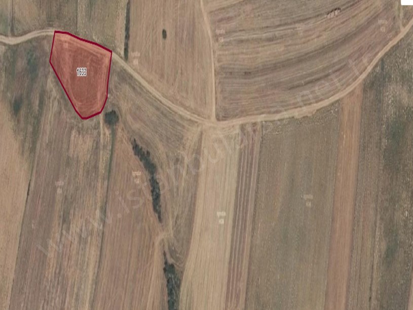 Kırklareli Babaeski Hazinedar Köyünde Satılık Tarla , 2,800 M2 Müstakil Yolu Var