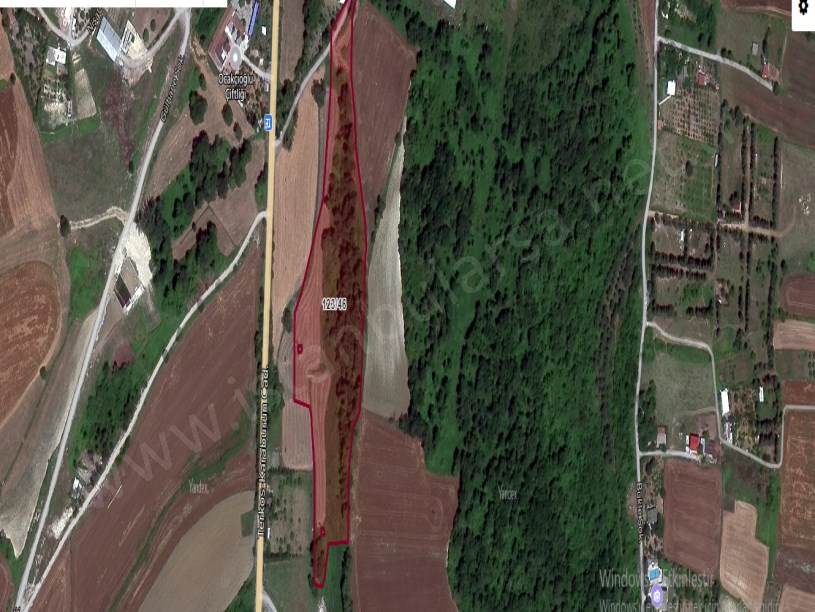 Arnavutköy Baklalıda Satılık Arsa , 265 M2 Çaplı Asfalt Cephe Çevrili
