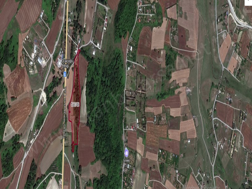 Arnavutköy Baklalıda Satılık Arsa , 265 M2 Çaplı Asfalt Cephe Çevrili