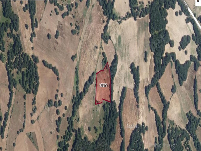 Kırklareli Kofçaz Terzidere Köyünde Satılık Tarla , 7,842 m2 Müstakil