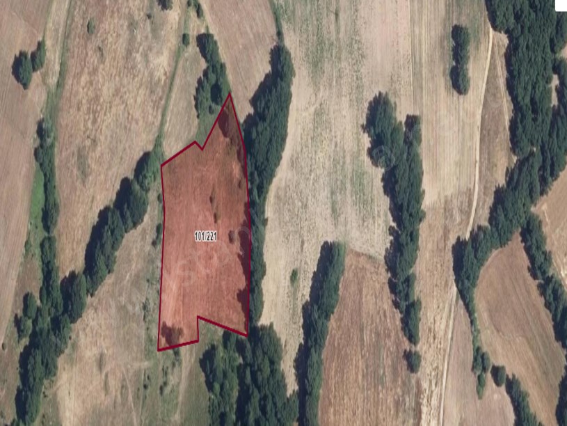 Kırklareli Kofçaz Terzidere Köyünde Satılık Tarla , 7,842 m2 Müstakil