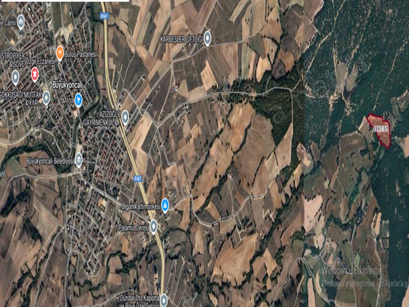 Tekirdağ Saray Büyükyoncalı Mah Satılık Tarla , 28 Dönüm Müstakil Yolu Var