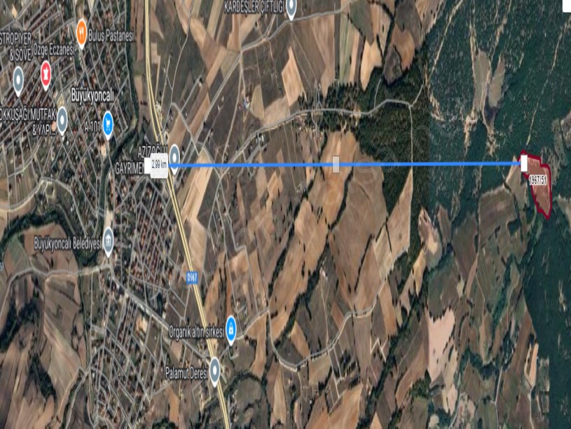 Tekirdağ Saray Büyükyoncalı Mah Satılık Tarla , 28 Dönüm Müstakil Yolu Var