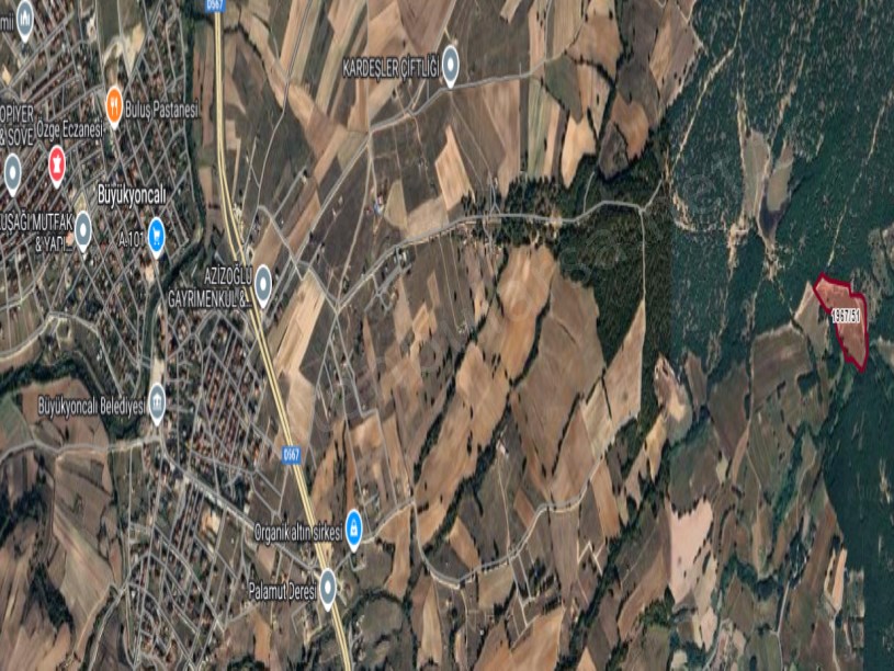 Tekirdağ Saray Büyükyoncalı Mah Satılık Tarla , 28 Dönüm Müstakil Yolu Var