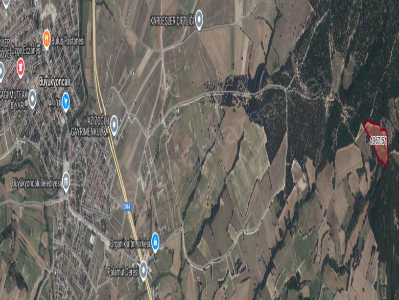 Tekirdağ Saray Büyükyoncalı Mah Satılık Tarla , 28 Dönüm Müstakil Yolu Var