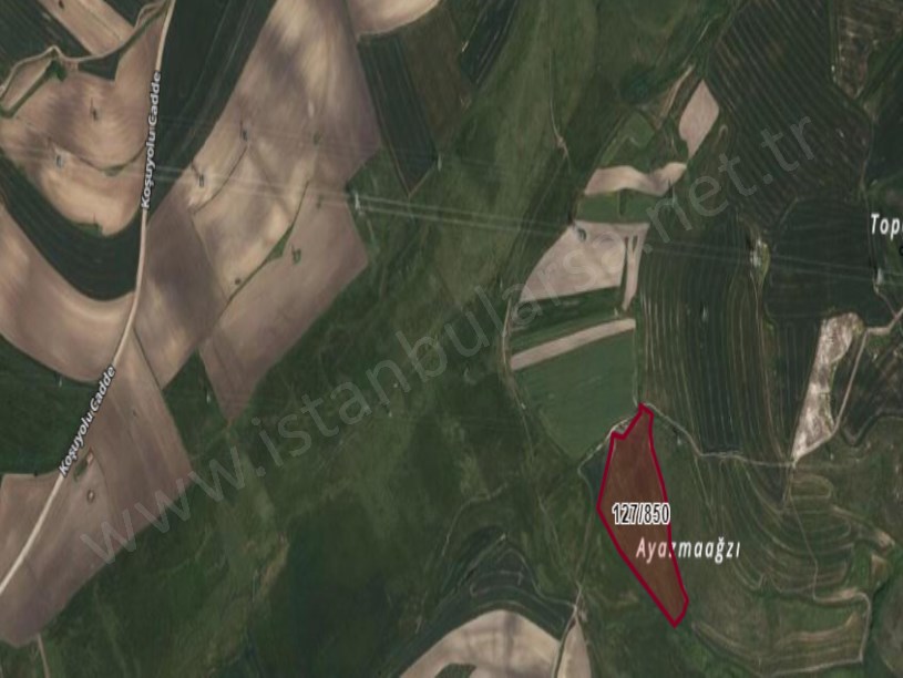 Çatalca Nakkaşta  Satılık Arsa , 786 m2 Hisseli Yolu Var 