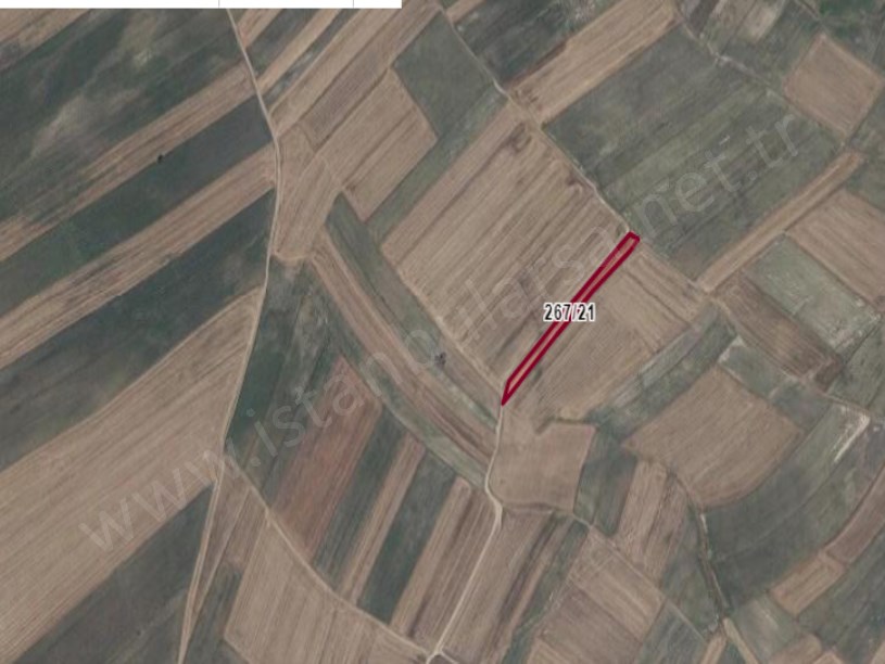 Tekirdağ Saray Yuvalıda Satılık Arsa , 1,233 m2 Yolu Var Müstakil
