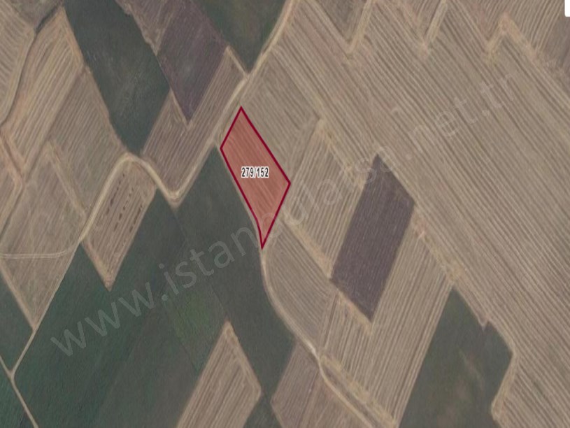 Tekirdağ Saray Beyazköy Satılık Tarla , 5,166 M2  Yolu Var Müstakil